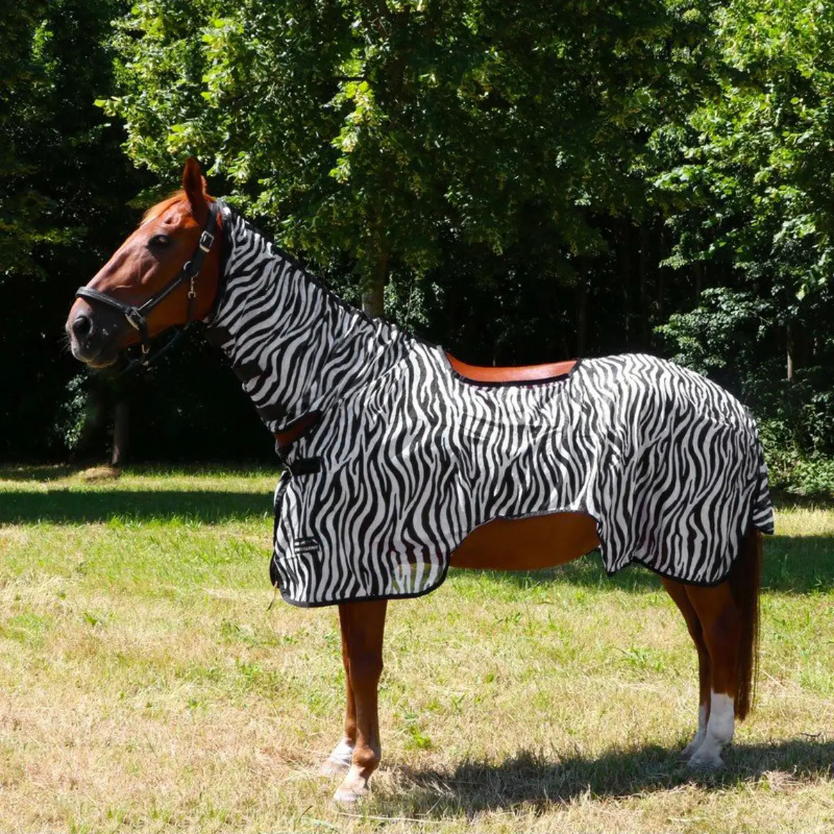 Hkm Vliegen Uitrijdeken Zebra 1