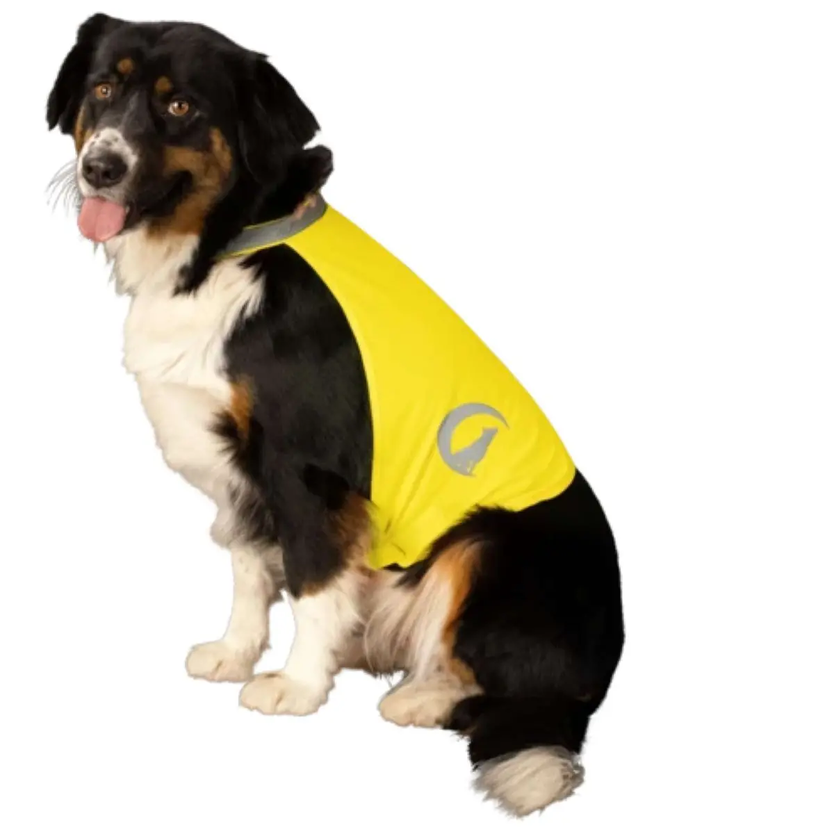 Excellent Dog Safety Vest Nightwalk Geel 1