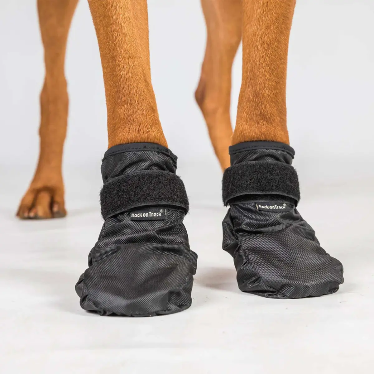 Back On Track Hondenschoenen Koda Zwart 1