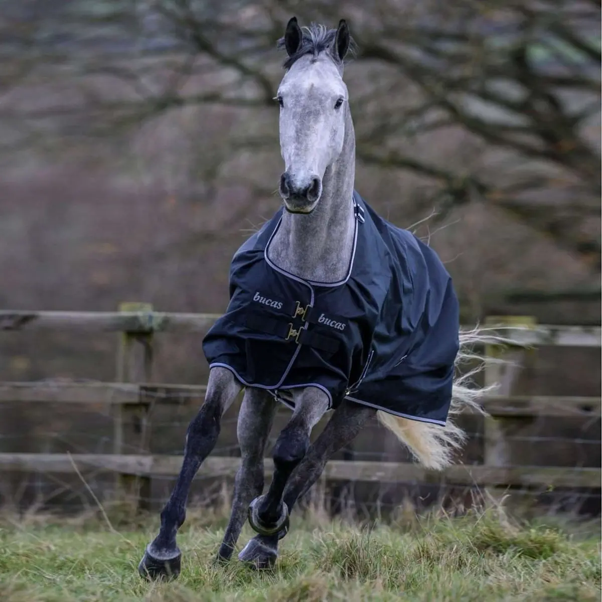 Bucas Trotting Turnout 200G Zwart/Wit 1