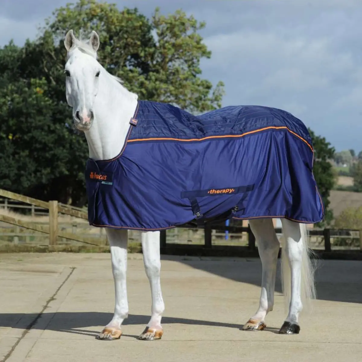 Bucas Therapy Cooler Big Neck Navy/Orange 1