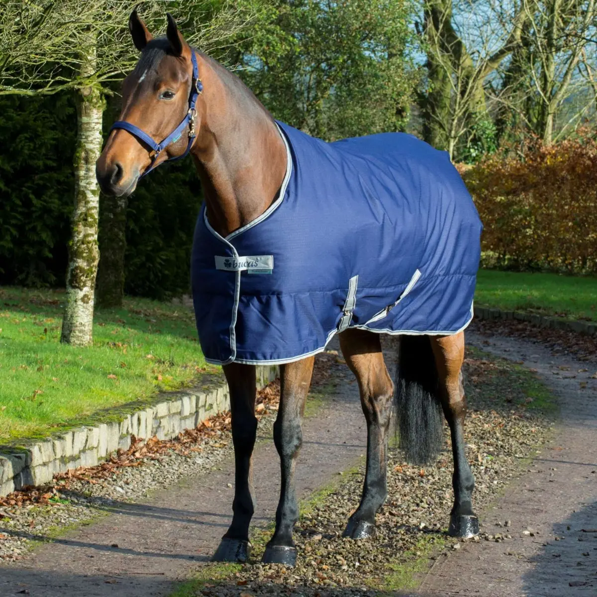 Bucas Freedom Staldeken 150G Navy 1