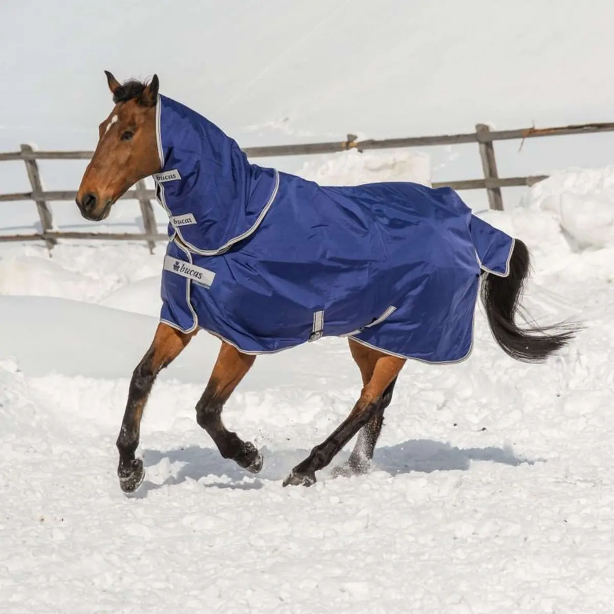 Bucas Atlantic Turnout 200G + Neck Navy 1