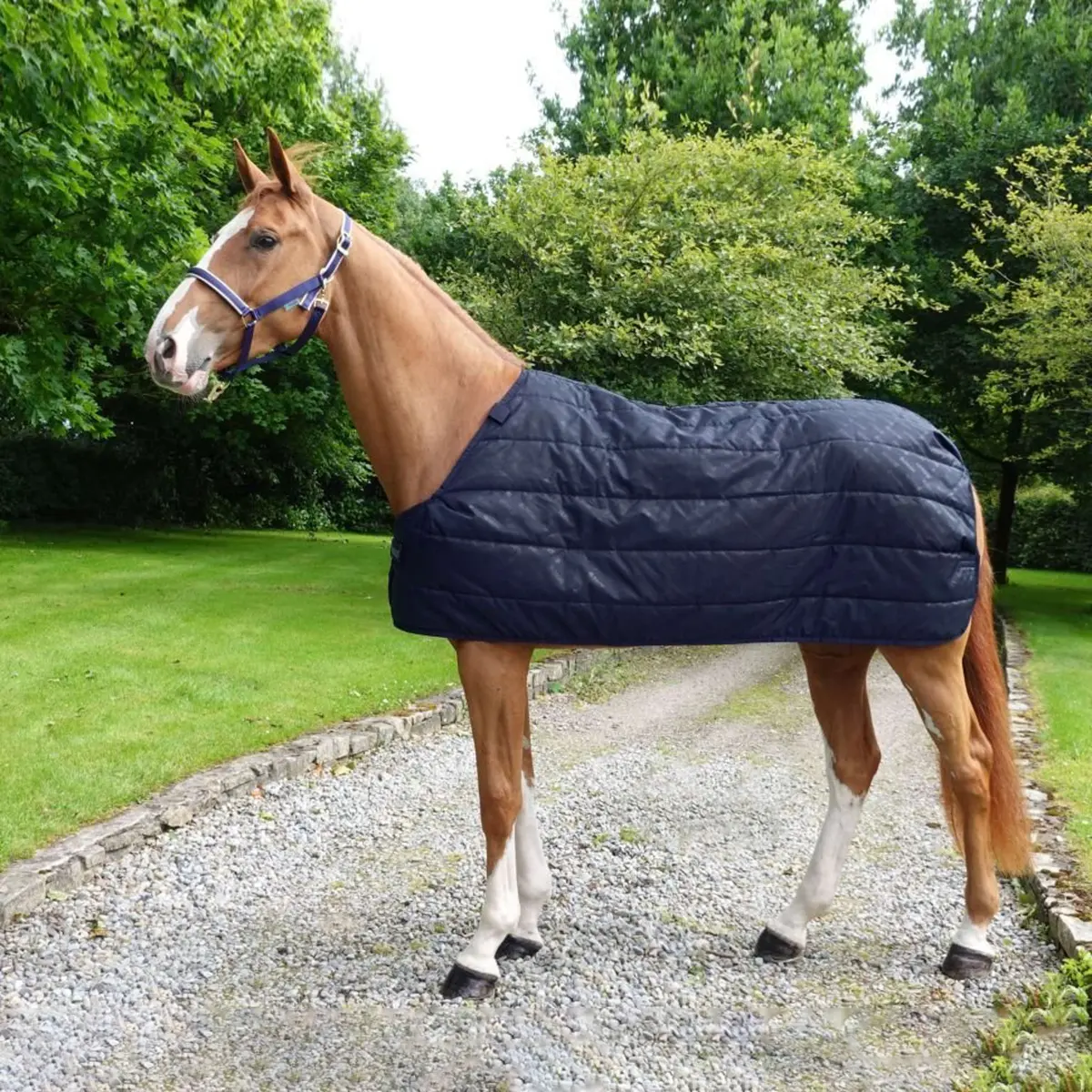 Bucas Liner Sf 300G Navy 1