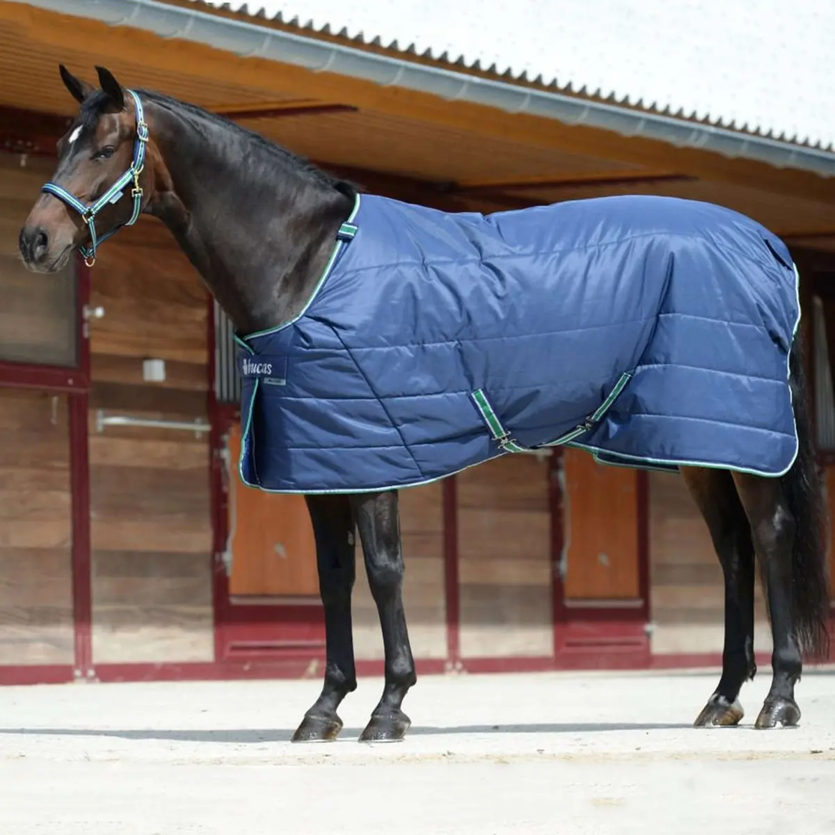 Bucas Quilt 150G Sd Navy 1