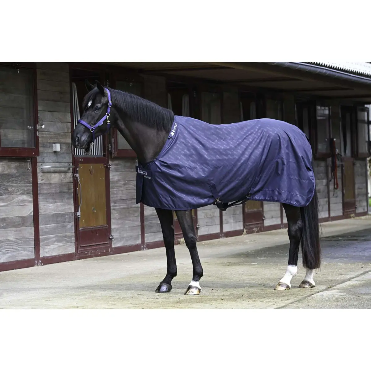 Bucas Stable Sheet 0G Navy/Navy 1