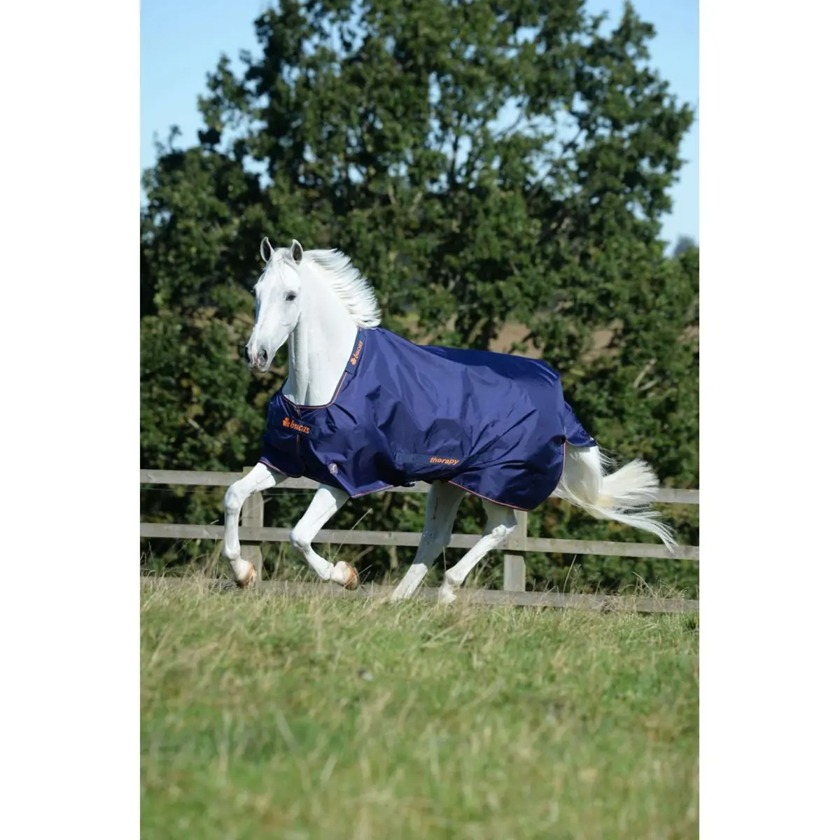 Bucas Therapy Turnout 150G Navy/Orange 1