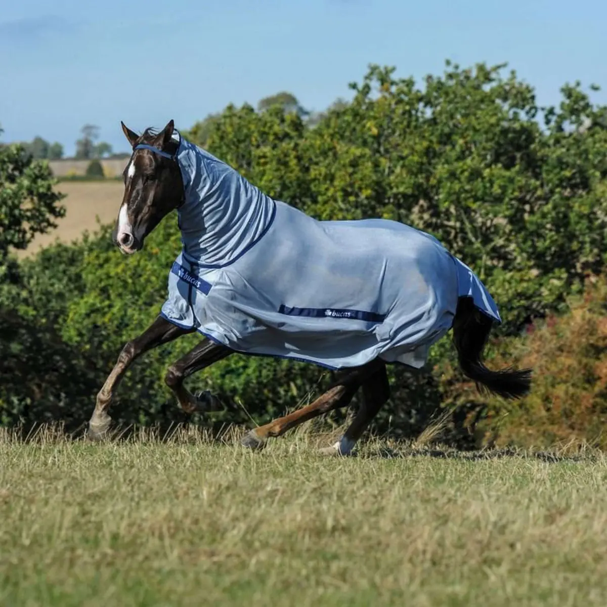Bucas Buzz-Off Full Neck Blue 1
