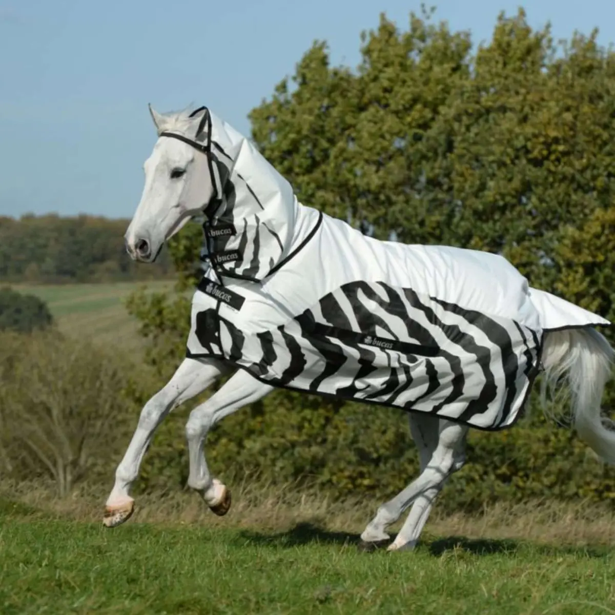 Bucas Buzz-Off Rain & Neck 0G Zebra 1