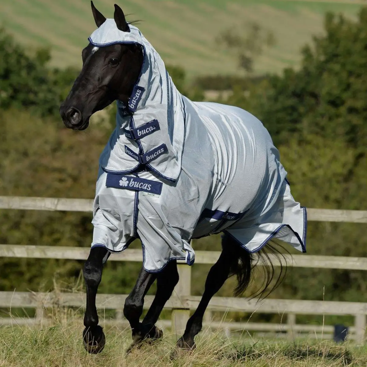 Bucas Buzz-Off X Full Neck Silver 1