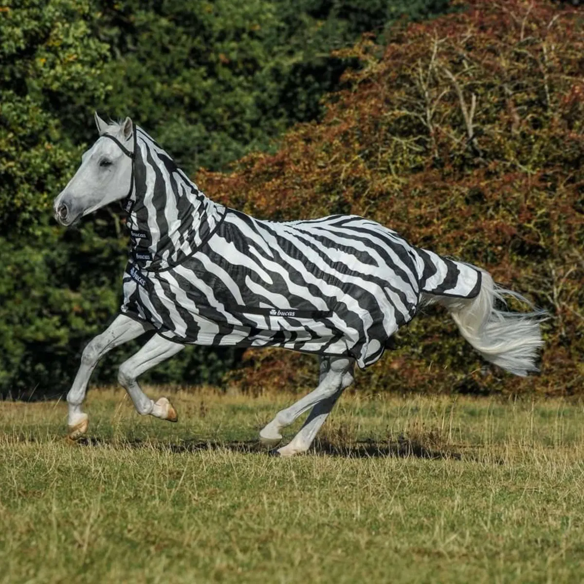 Bucas Buzz-Off Full Neck Zebra 1