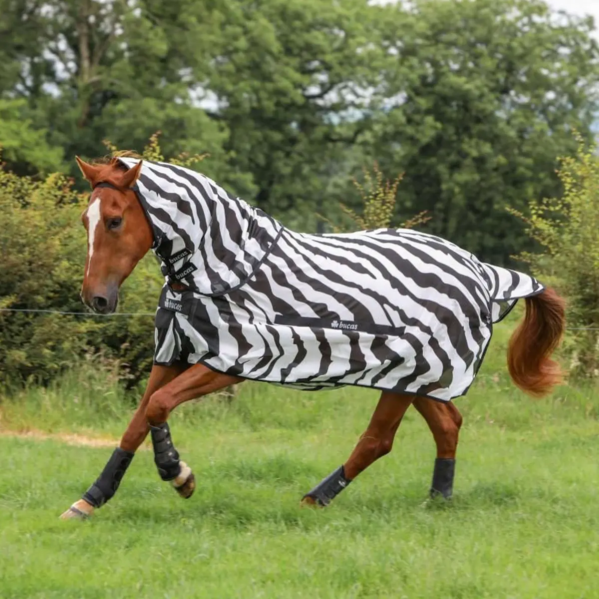 Bucas Buzz-Off & Neck Zebra 1