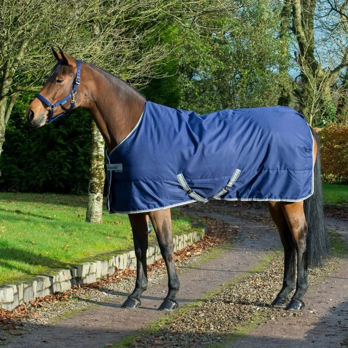 Bucas Freedom Staldeken 300G Navy 1