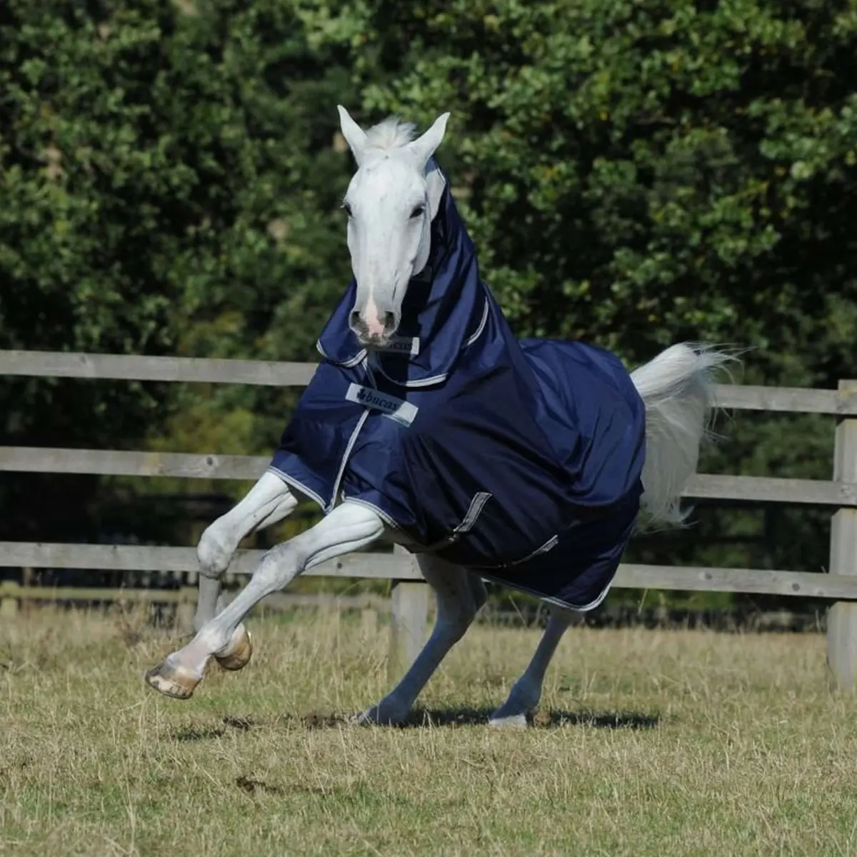 Bucas Freedom Turnout Full Neck 0G Navy 1