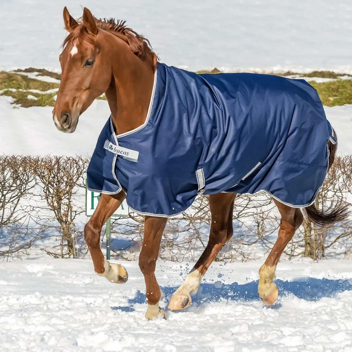 Bucas Freedom Turnout High Neck 150G Navy/Silver 1