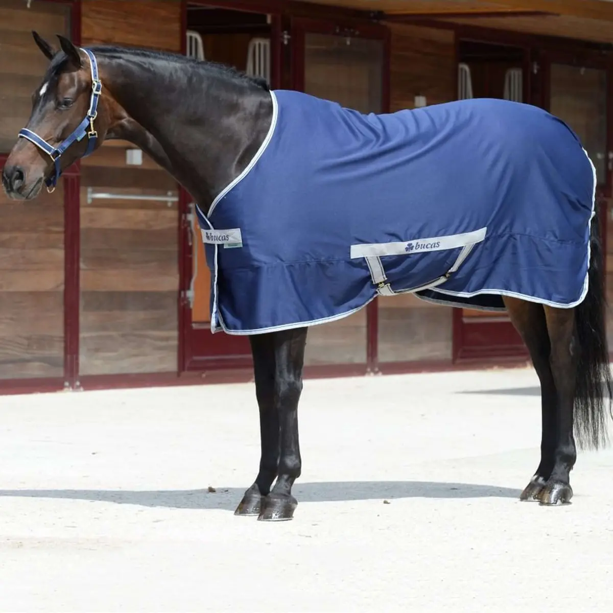 Bucas Freedom Twill Sheet 0G Navy 1