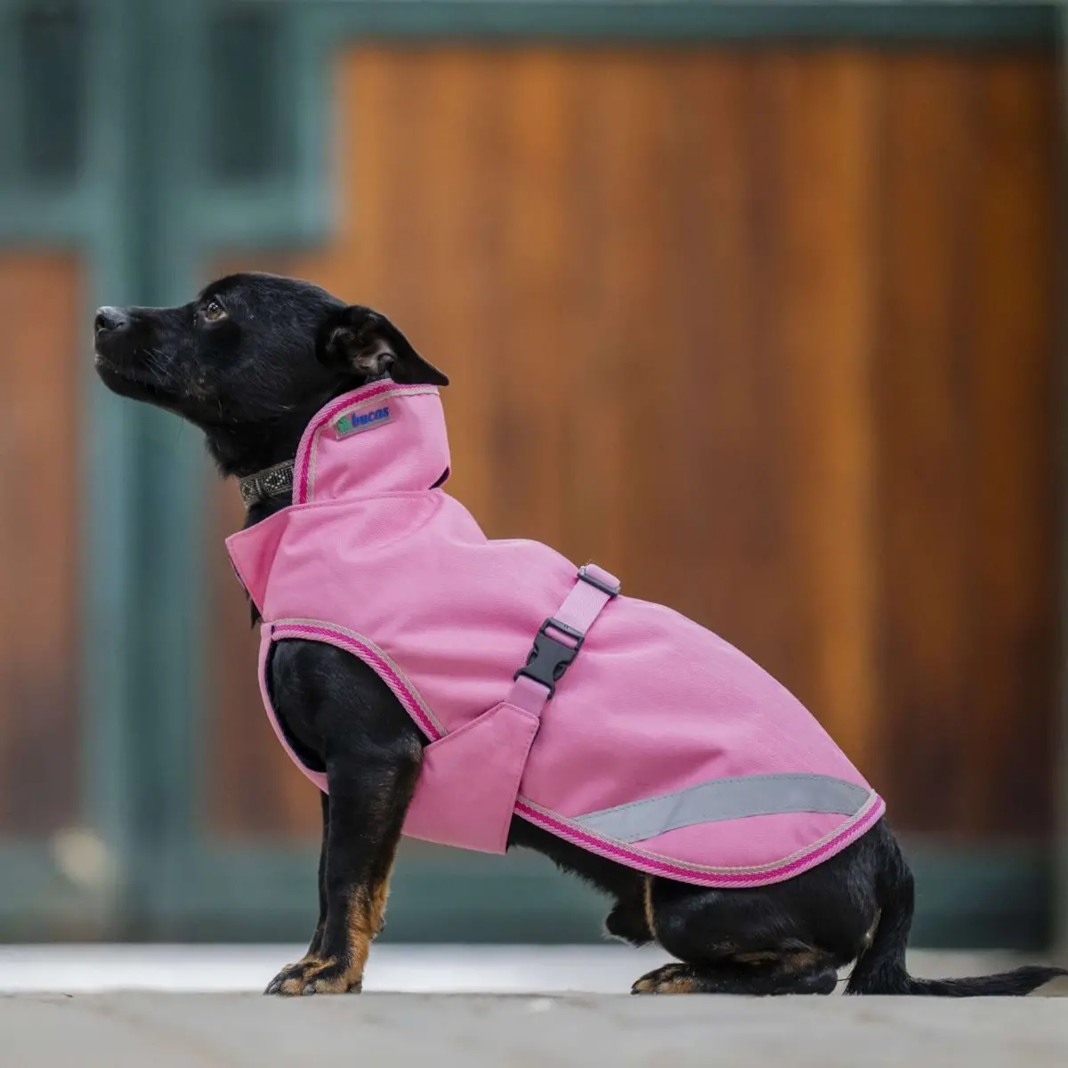 Bucas Freedom Dog Rug Aurora Pink 1