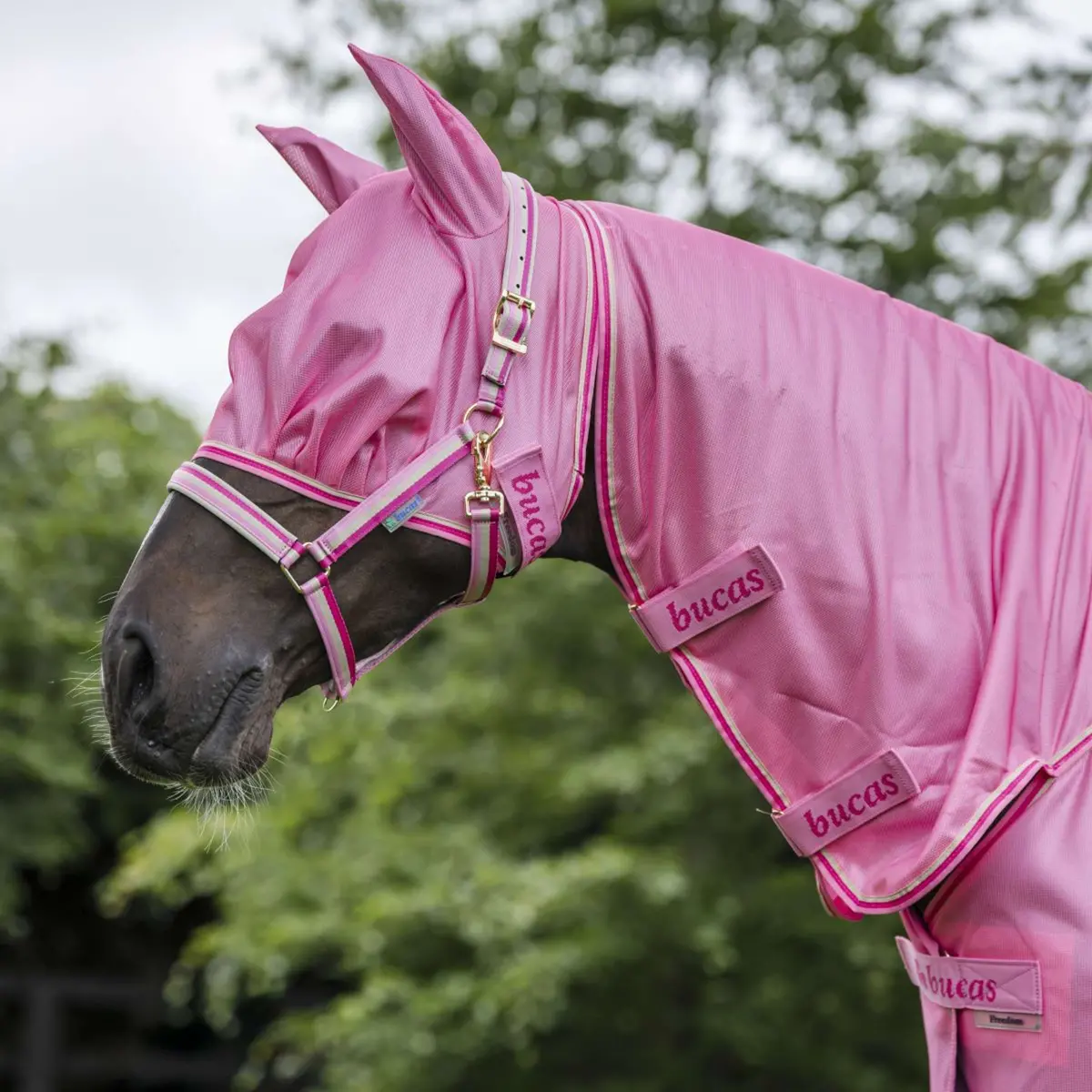 Bucas Freedom Vliegenmasker Aurora Pink 1