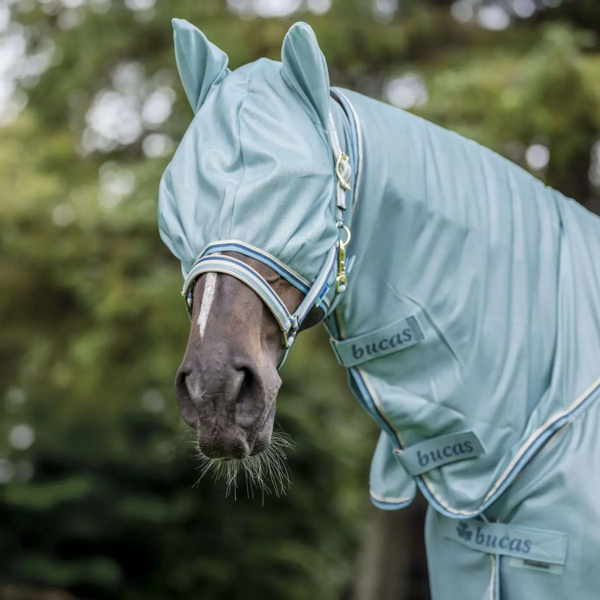 Bucas Freedom Vliegenmasker Turquoise 1