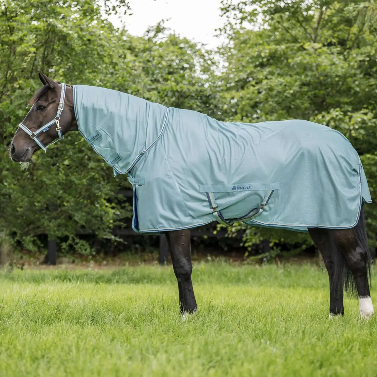 Bucas Freedom Fly Sheet Full Neck Turquoise 1