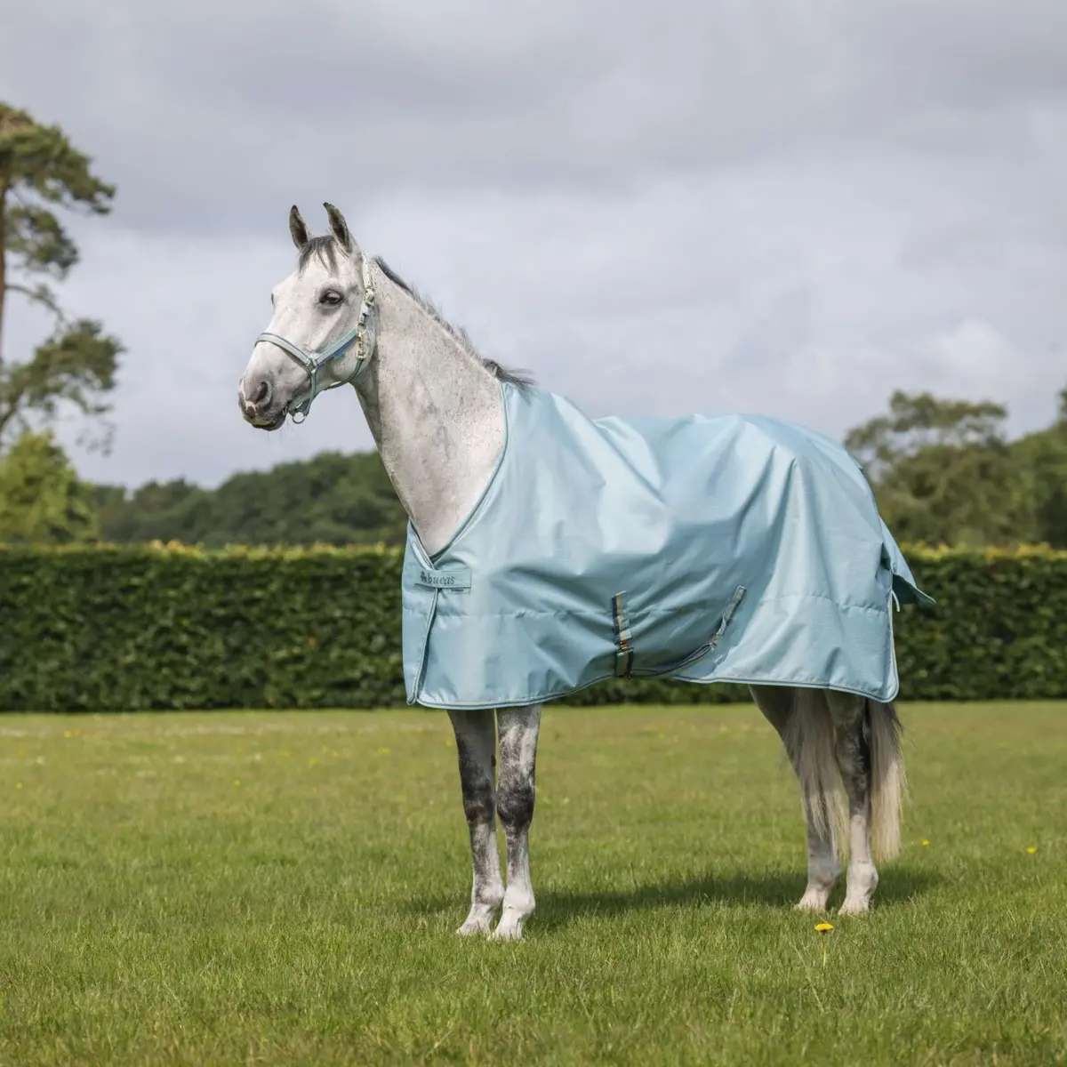 Bucas Freedom Turnout Light 0G Turquoise 1
