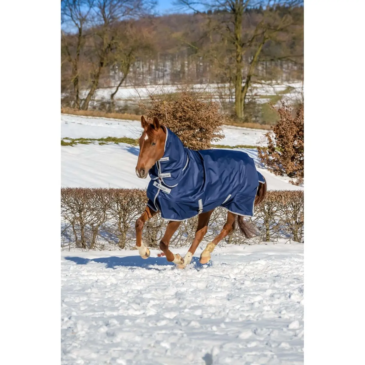 Bucas Freedom Turnout Full Neck 300G Navy/Silver 1