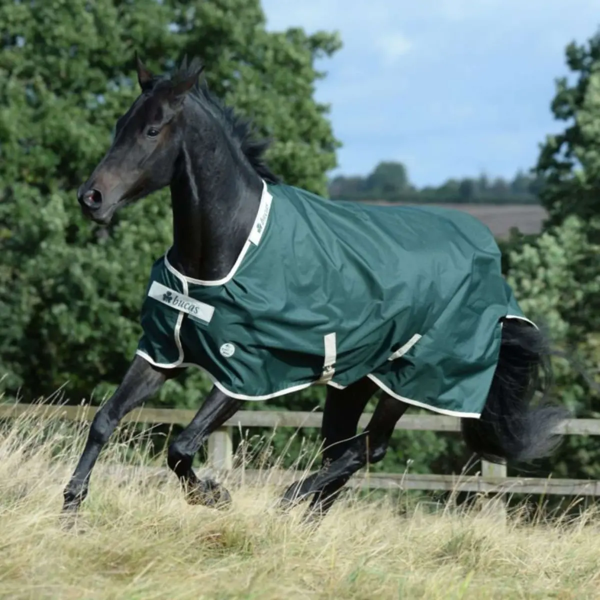 Bucas Green-Line Turnout 100G Groen 1