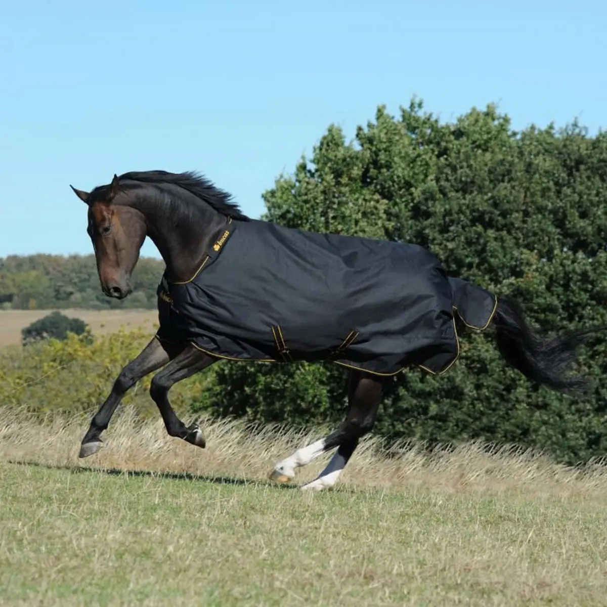 Bucas Irish Turnout Extra 300G Black/Gold 1