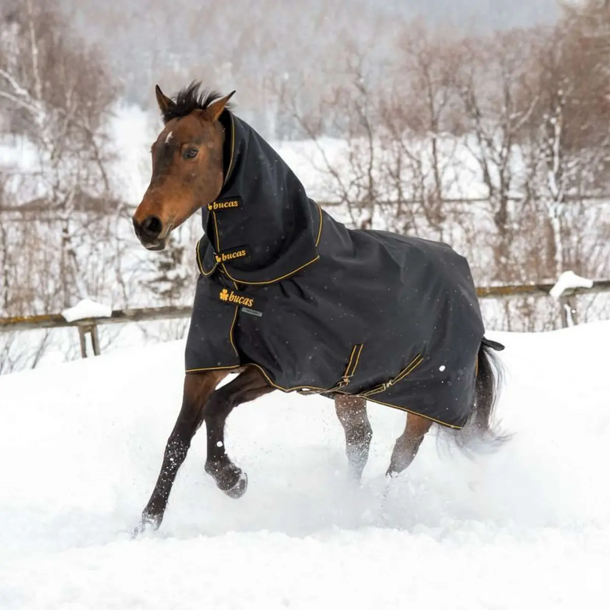 Bucas Irish Turnout Light 50G + Neck Black/Gold 1