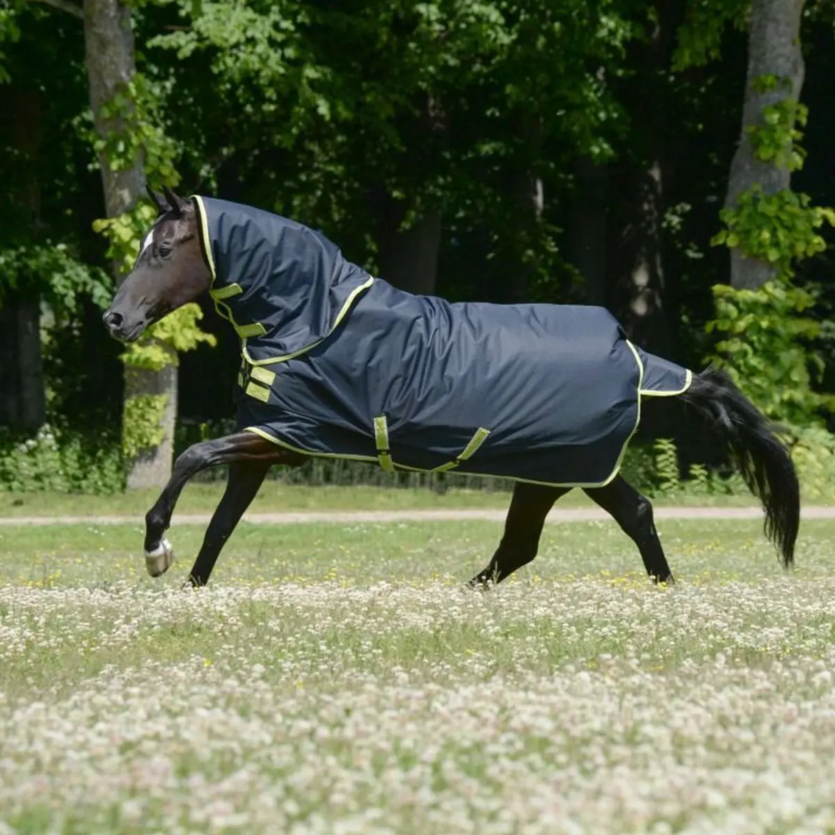 Bucas Oasis Turnout Neck 100G Dark Grey/Lime 1