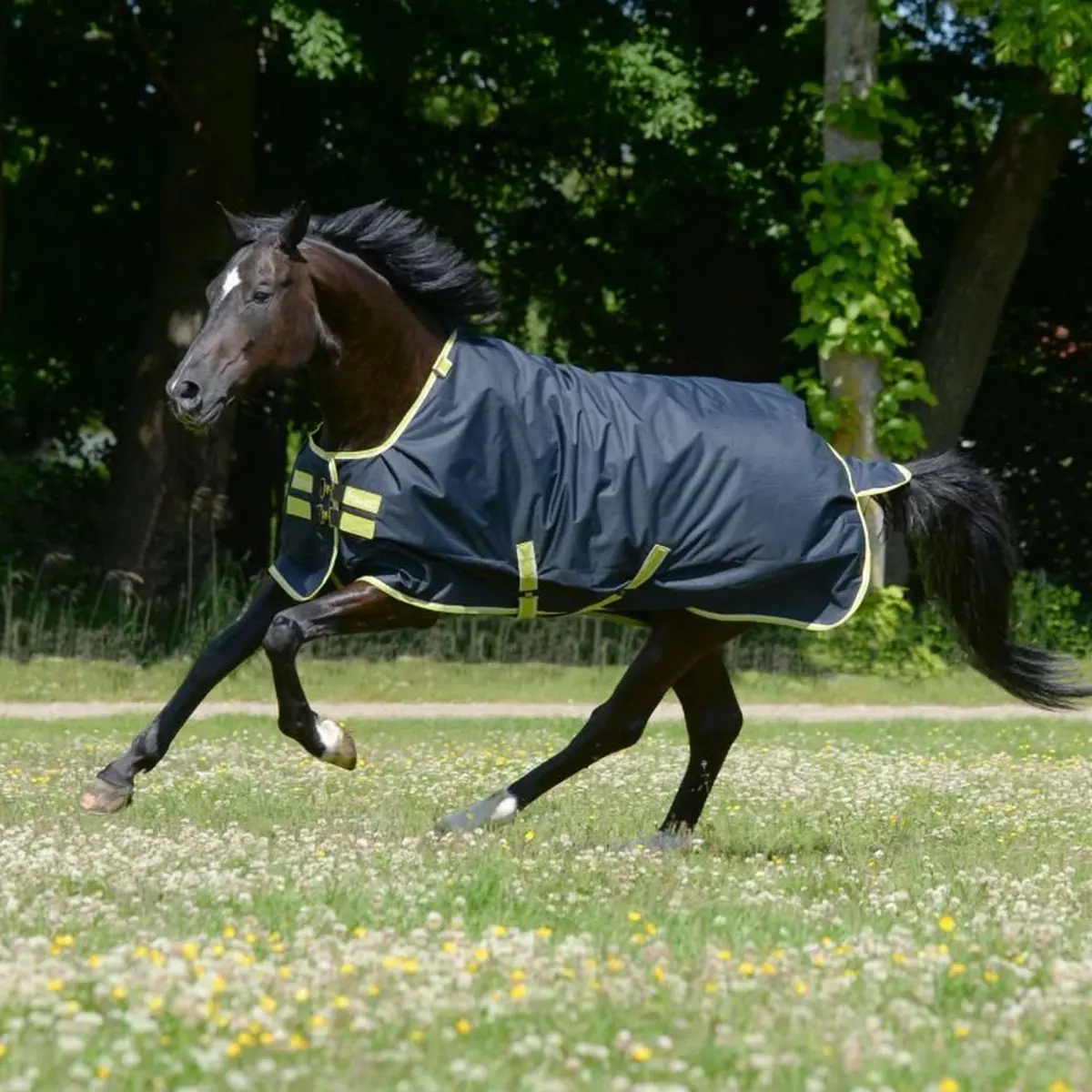 Bucas Oasis Turnout Neck 200G Dark Grey/Lime 2