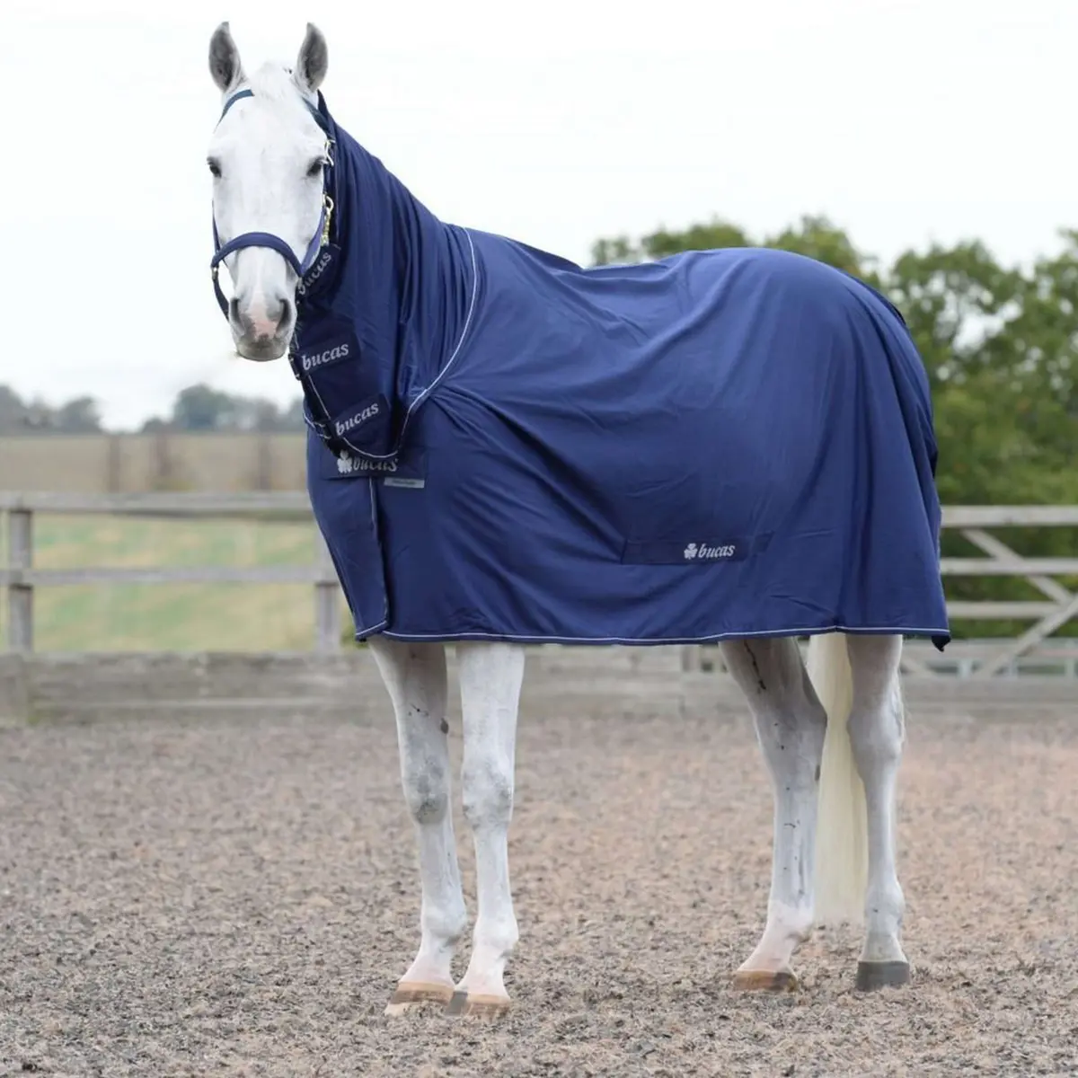Bucas Power Cooler & Neck Navy/Silver 1