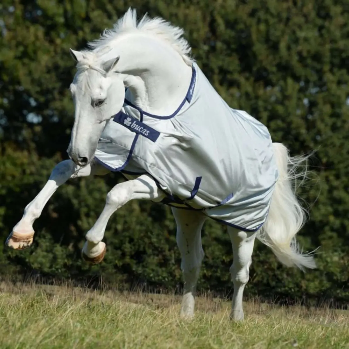 Bucas Power Turnout Light Big Neck 0G Silver 1