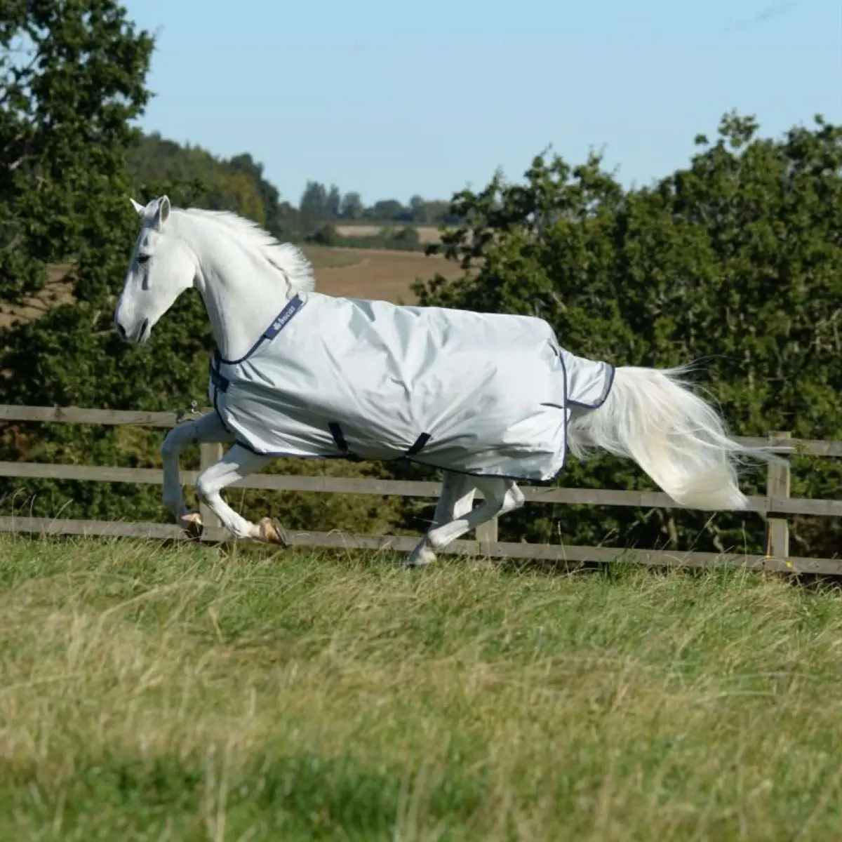 Bucas Power Turnout Light Classic 0G Silver 1