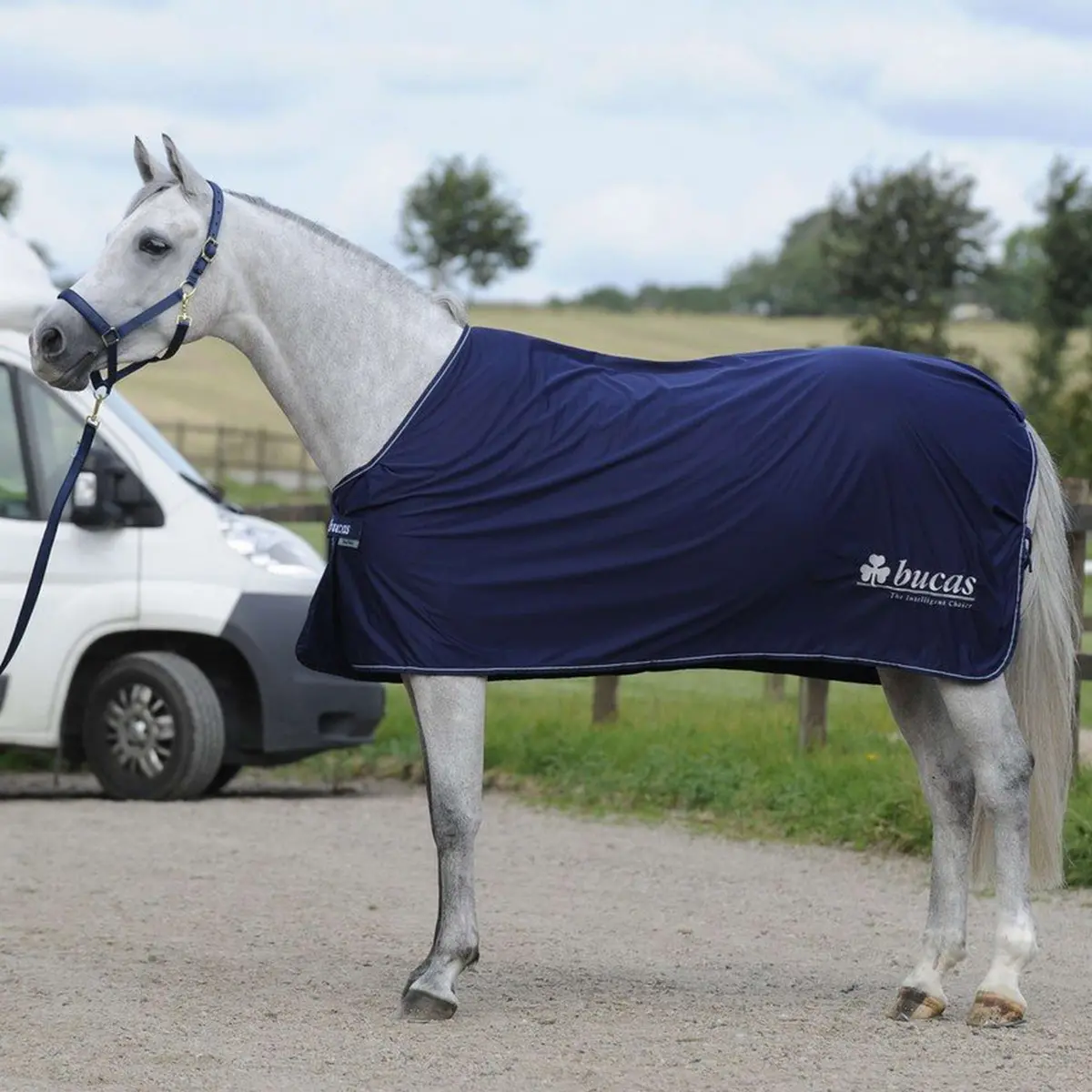 Bucas Prize Cooler Navy/Silver Bucas Logo 1