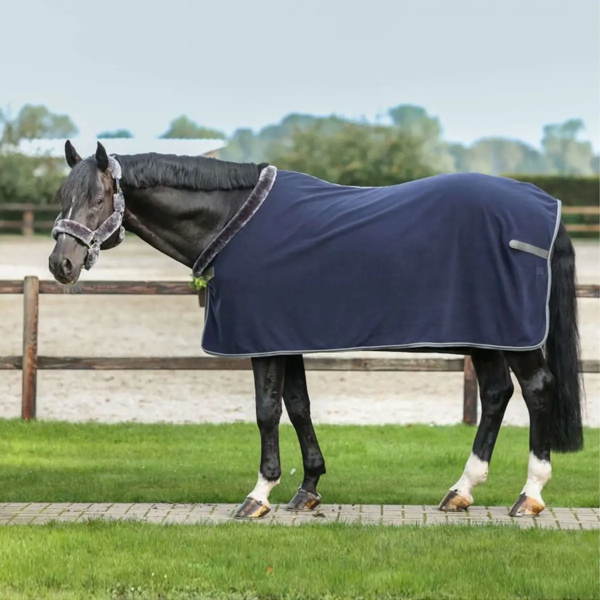 Bucas Zweetdeken Show-Line 400 Navy/Grijs 1