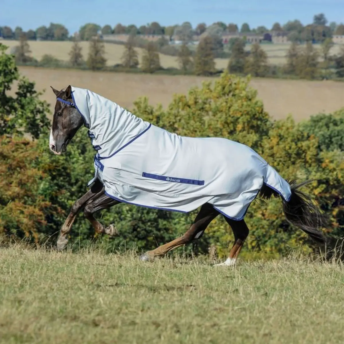 Bucas Eczeemdeken Sweet-Itch Silver 1