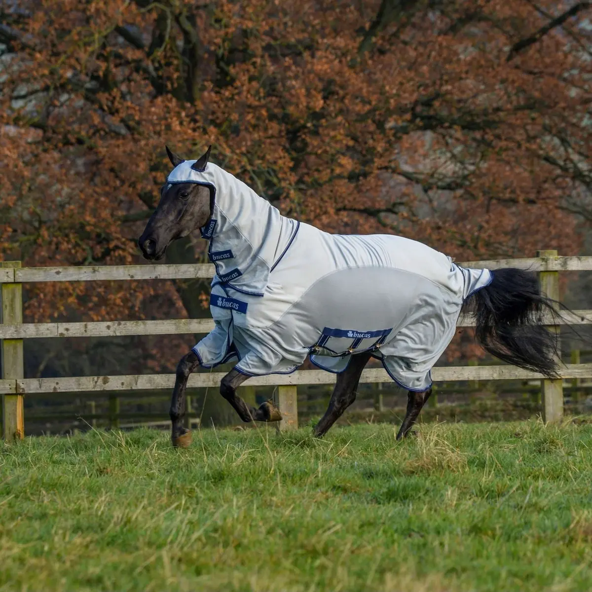 Bucas Eczeemdeken Sweet-Itch X Light Big Neck Silver 1