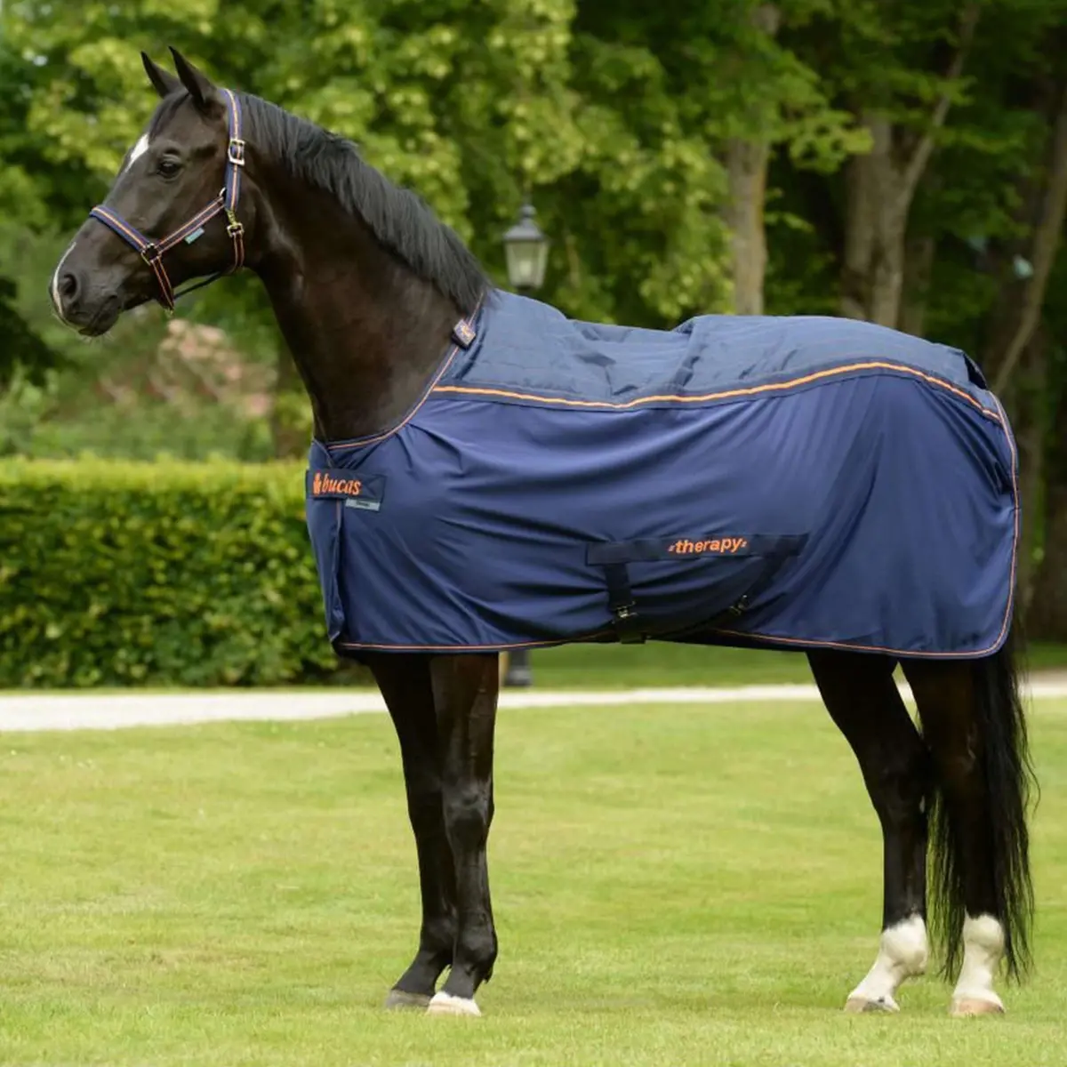 Bucas Therapy Cooler Navy/Orange 1
