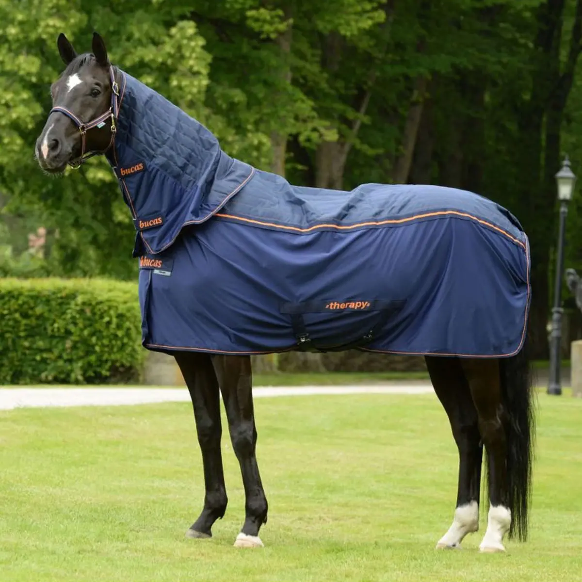 Bucas Therapy Cooler Navy/Orange 2
