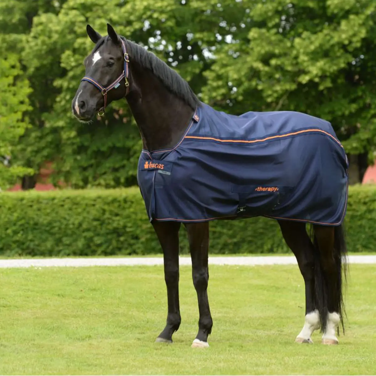 Bucas Therapy Mesh Cooler Navy/Orange 1