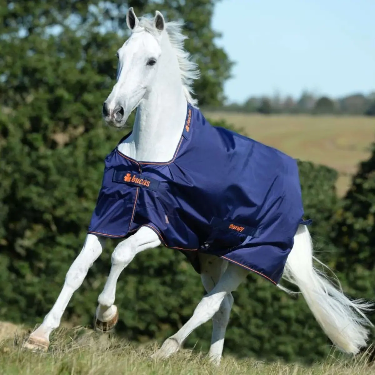 Bucas Therapy Turnout 50G Navy/Orange 1