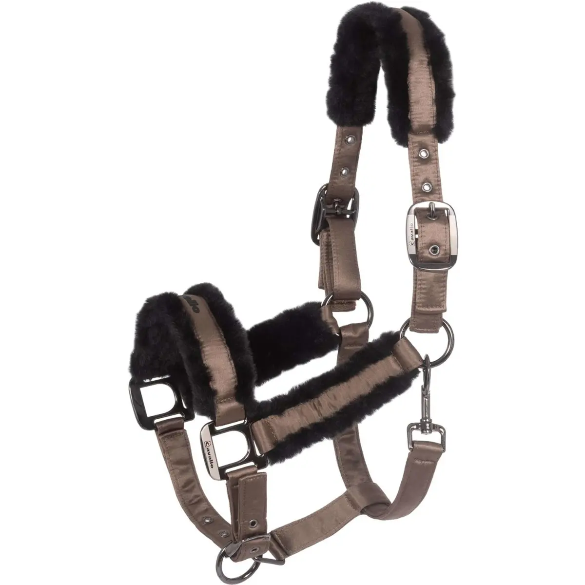 Cavallo Halster Cavaljero Mocha Latte 1