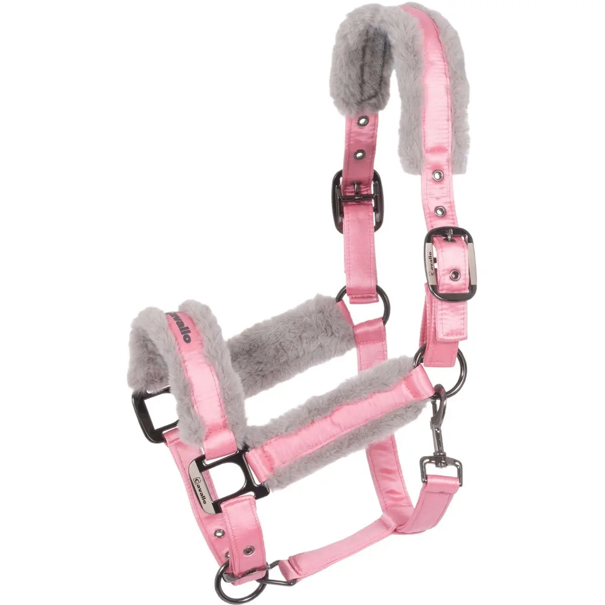 Cavallo Halster Cavaljero Powder Pink 1