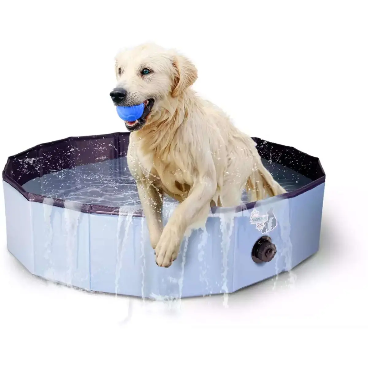 Coolpets Honden Zwembad Splash 1