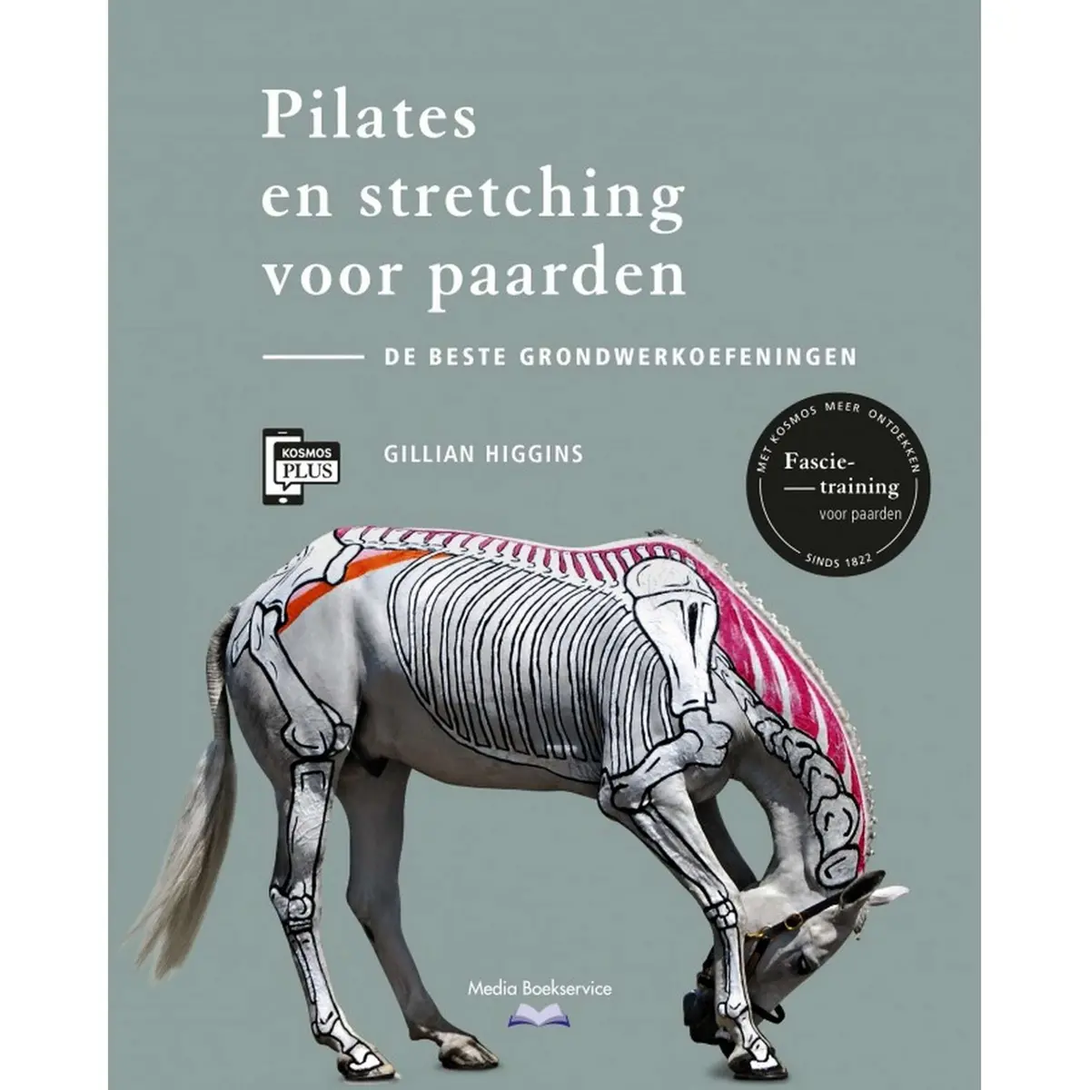 Pilates En Stretching Voor Paarden 1