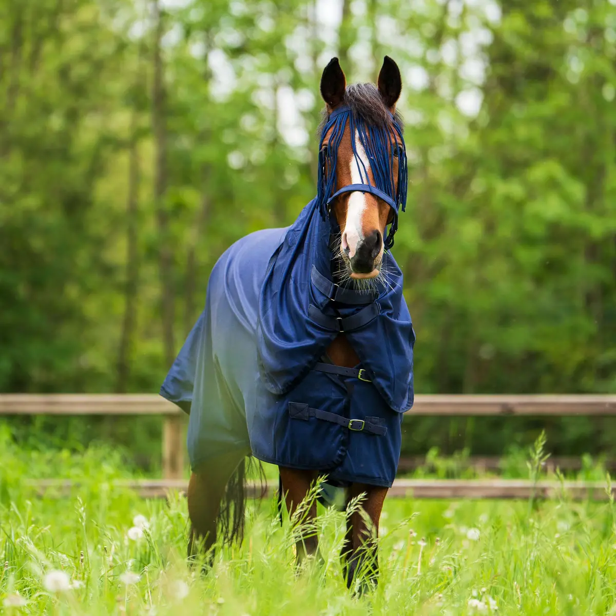 Imperial Riding Vliegendeken Irhreese Navy 1