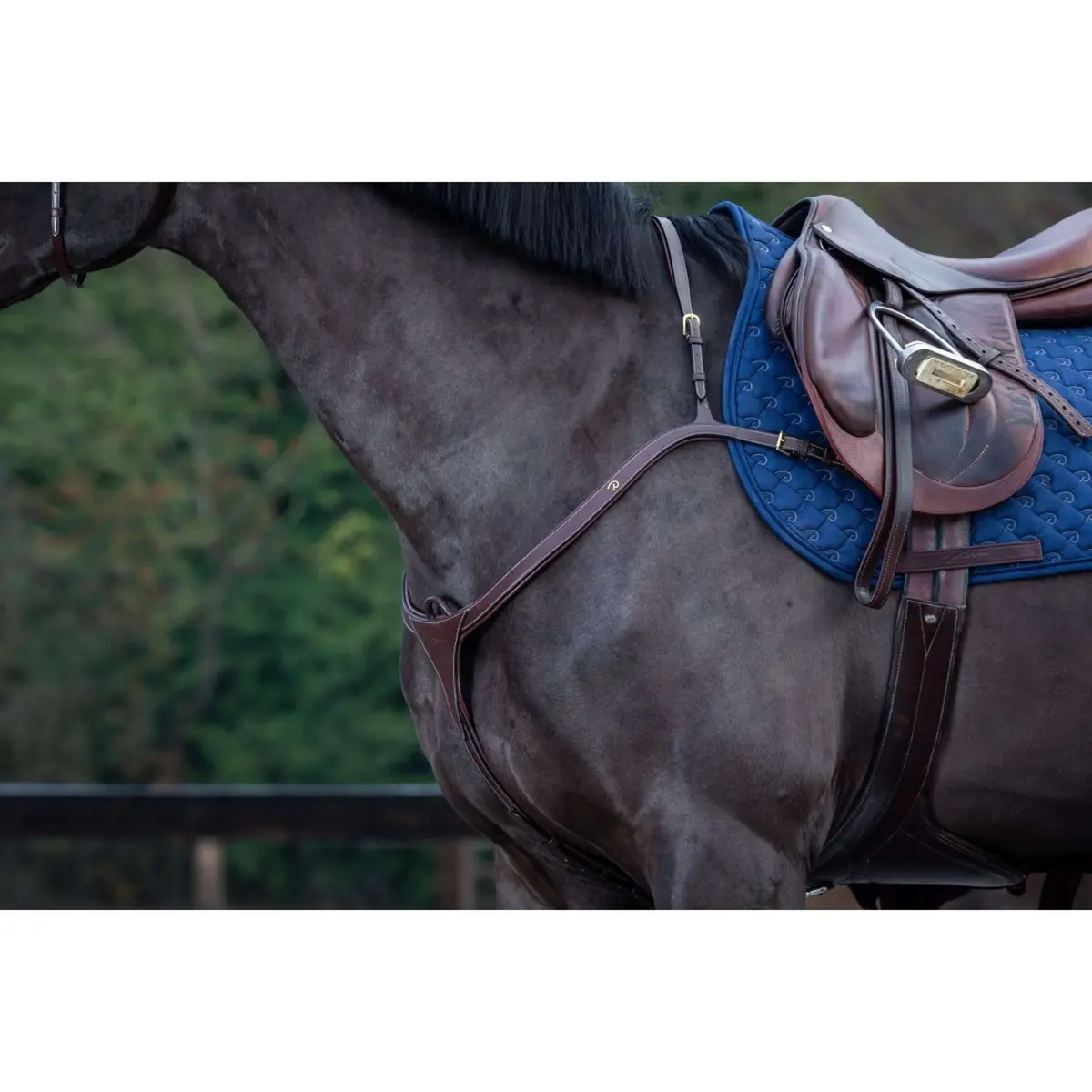 Dyon Borsttuig Long Bridge Bruin/Messing 1