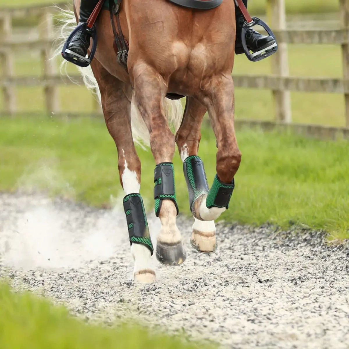 Equilibrium Beenbeschermers Tri-Zone Impact Sports Voor Hunter Green 2