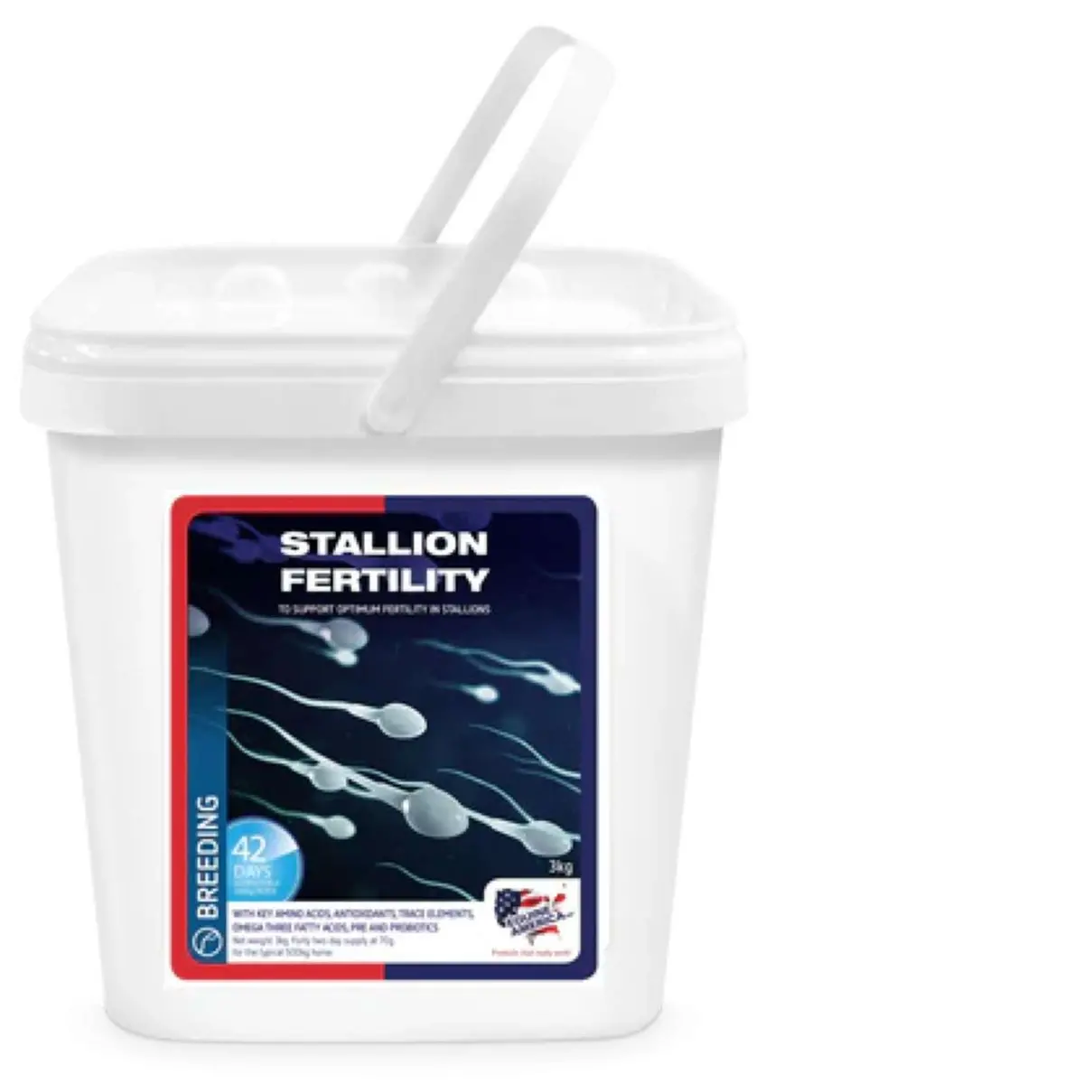 Equine America Stallion 1